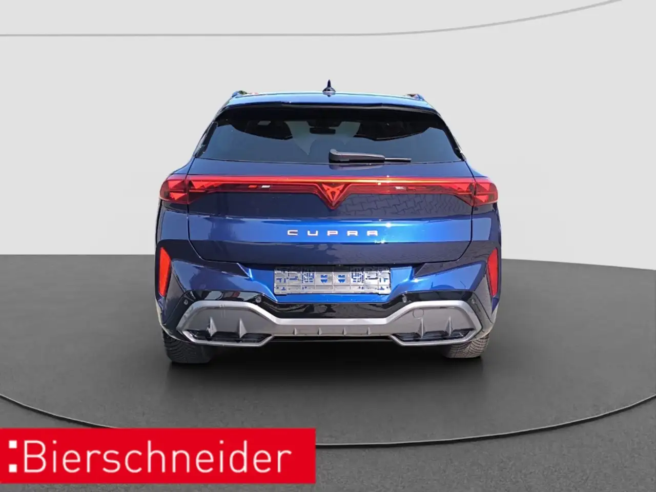 Cupra Terramar 8