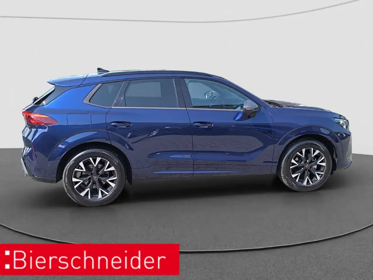 Cupra Terramar 10