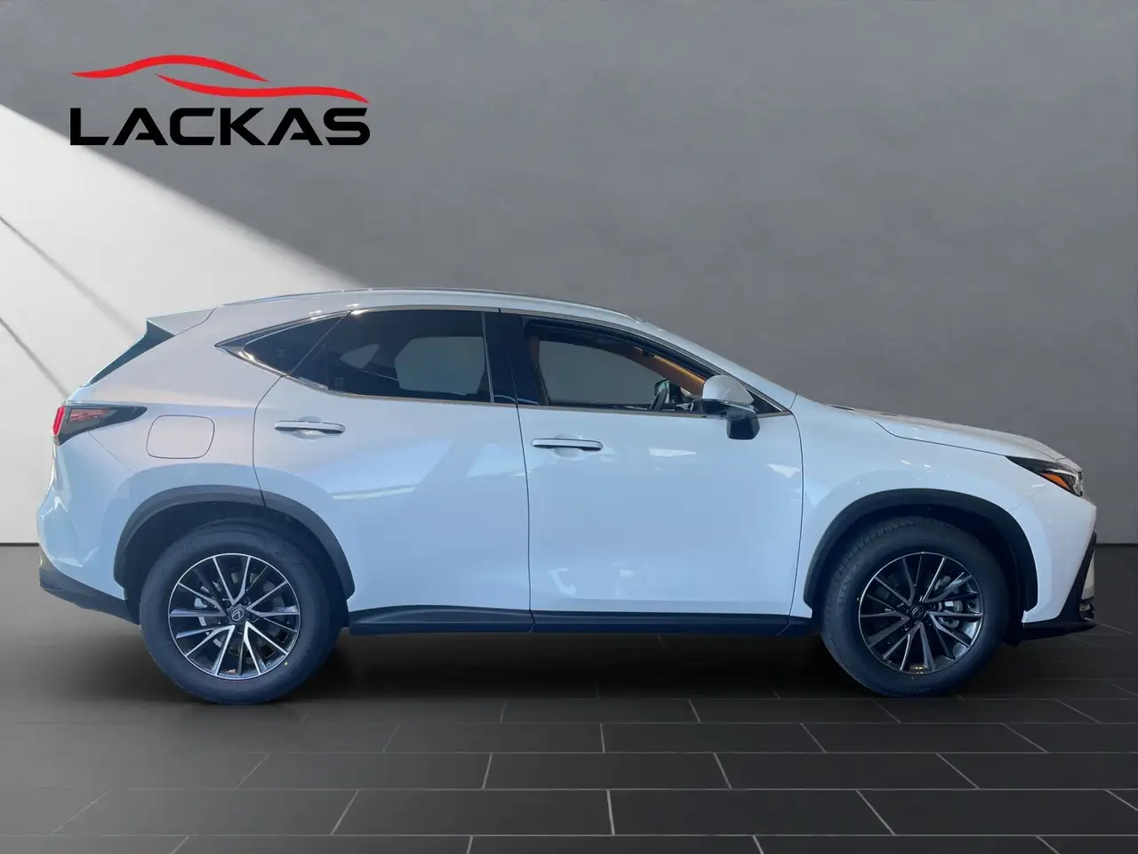 Lexus NX 6
