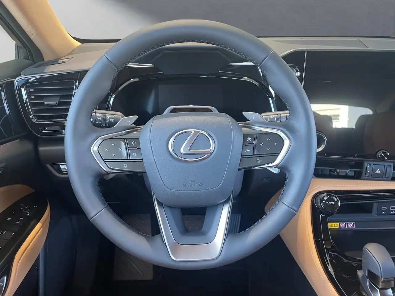 Lexus NX 10