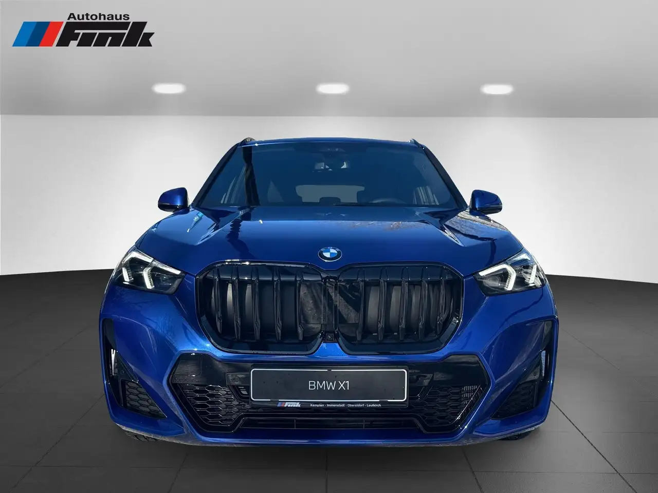 BMW X1 2
