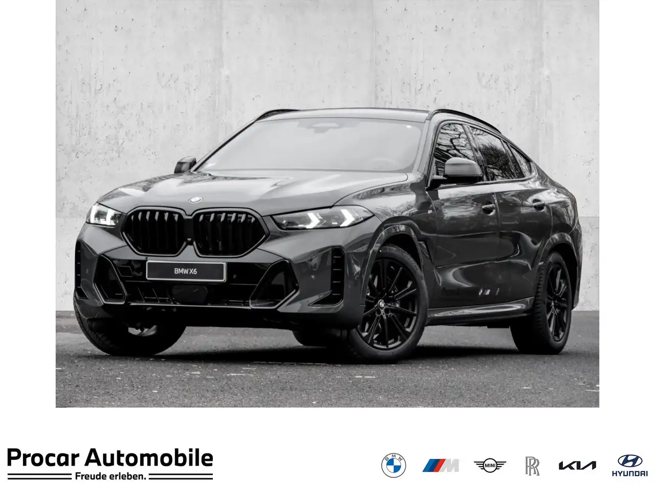 BMW X6