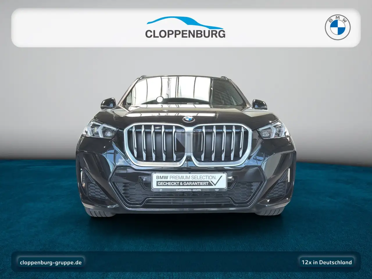 BMW X1 8