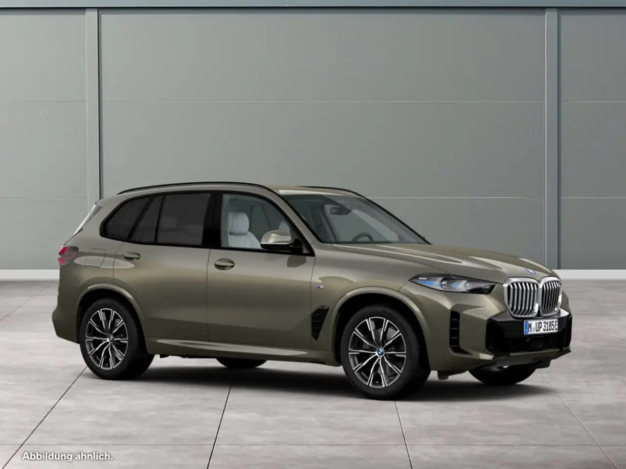 BMW X5 10