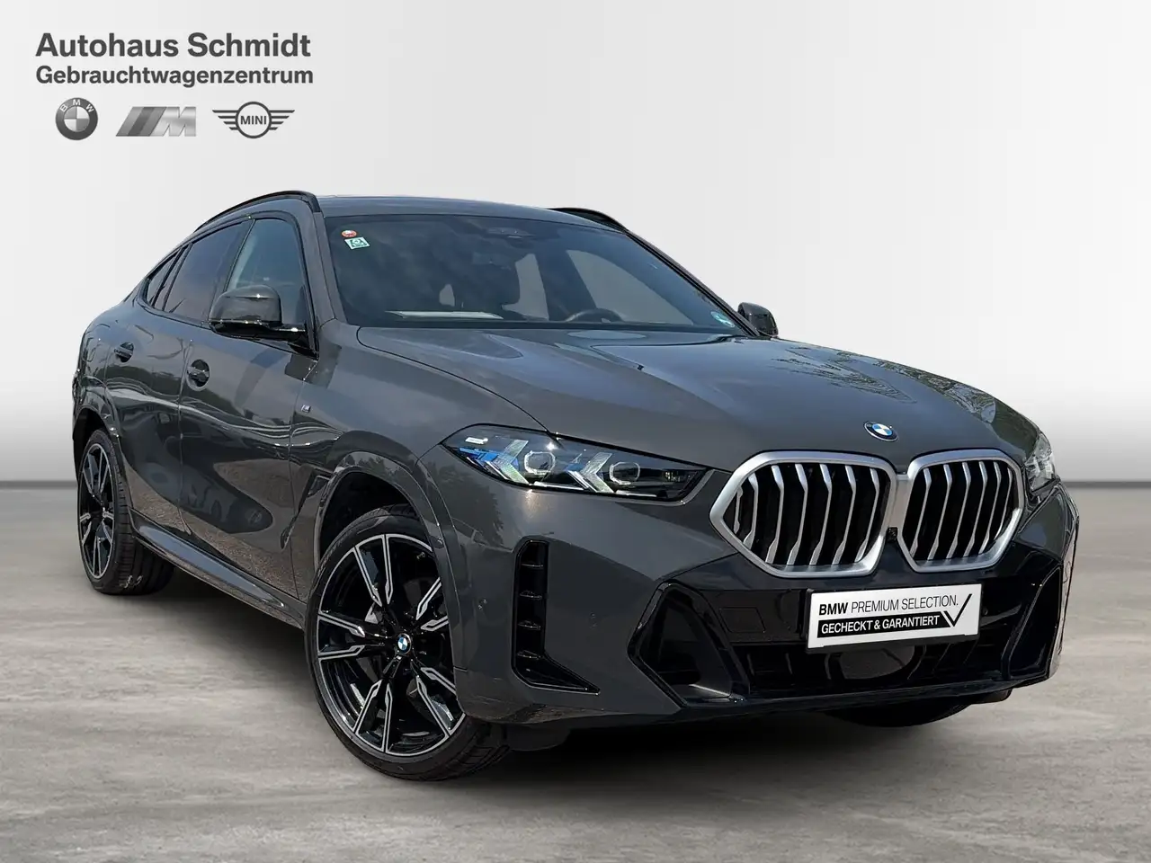 BMW X6 6
