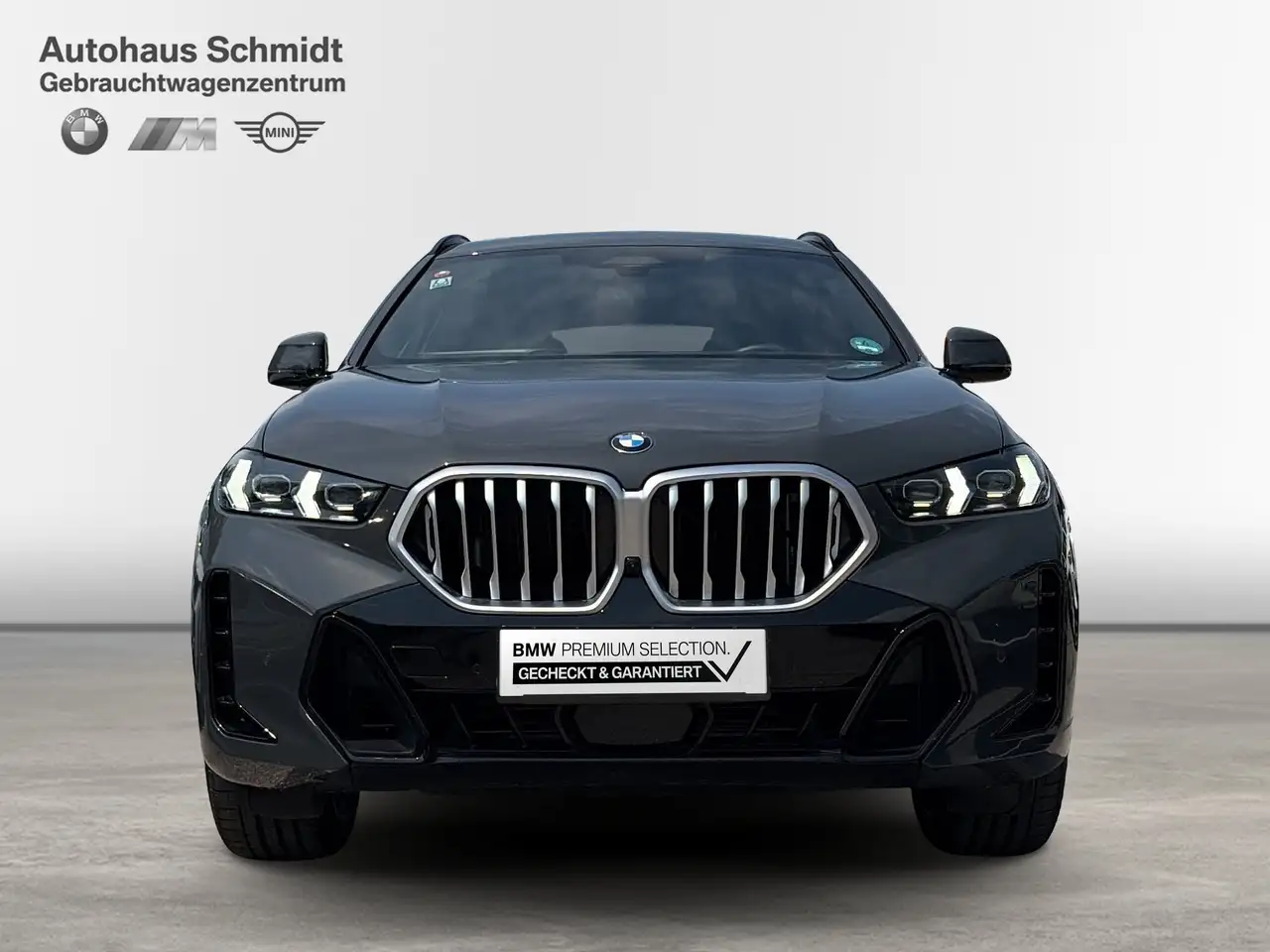 BMW X6 7