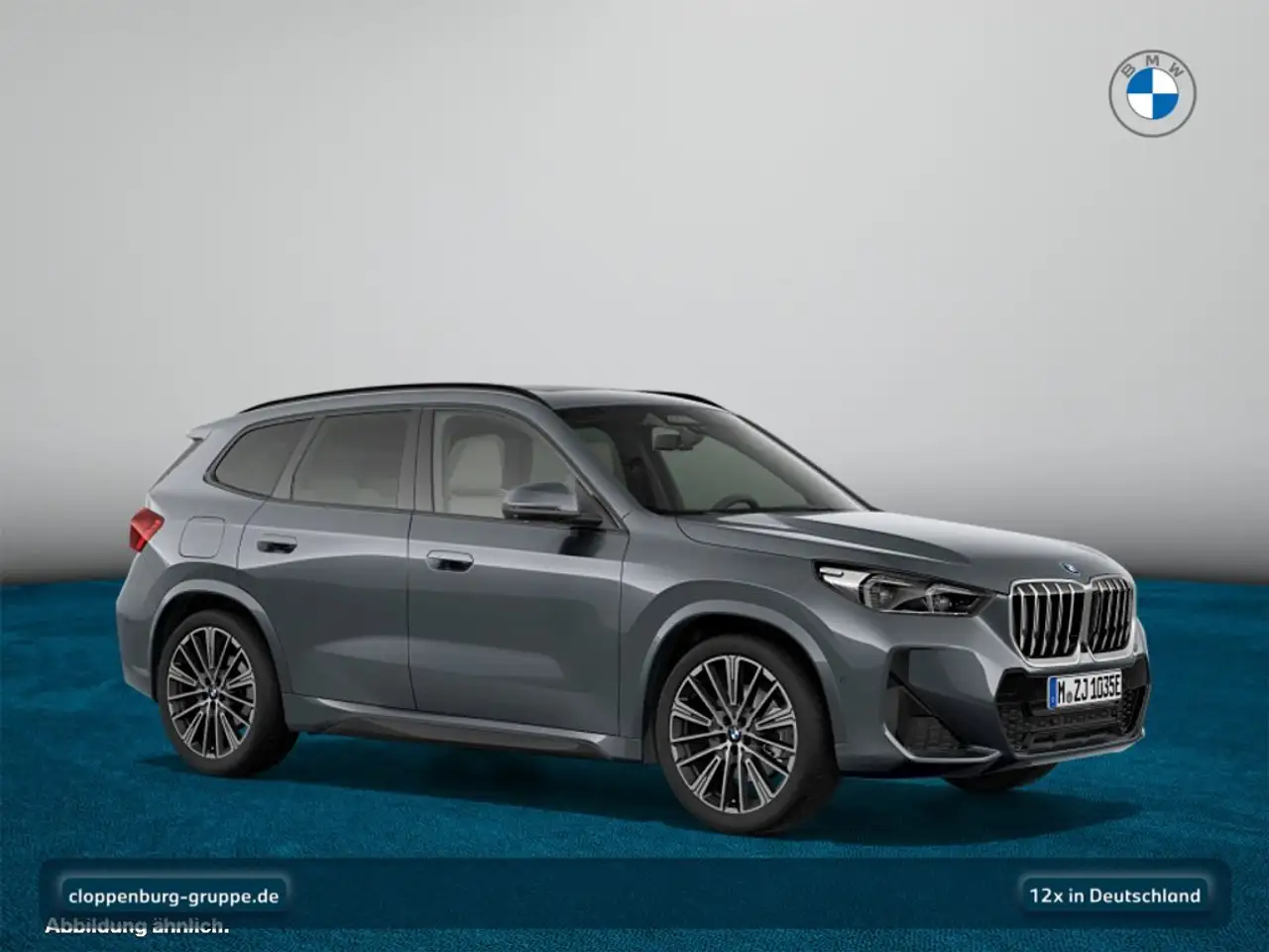 BMW X1 9
