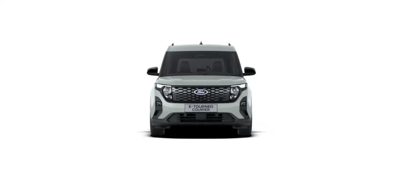 Ford Tourneo 11