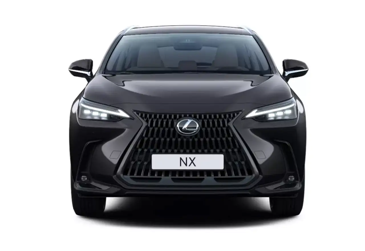 Lexus NX 4