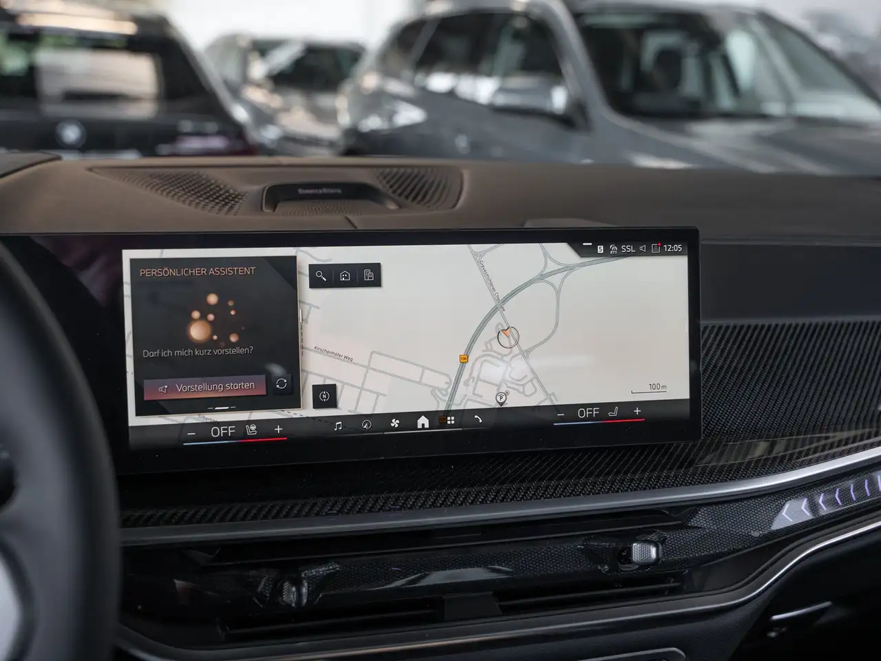 BMW X7 10