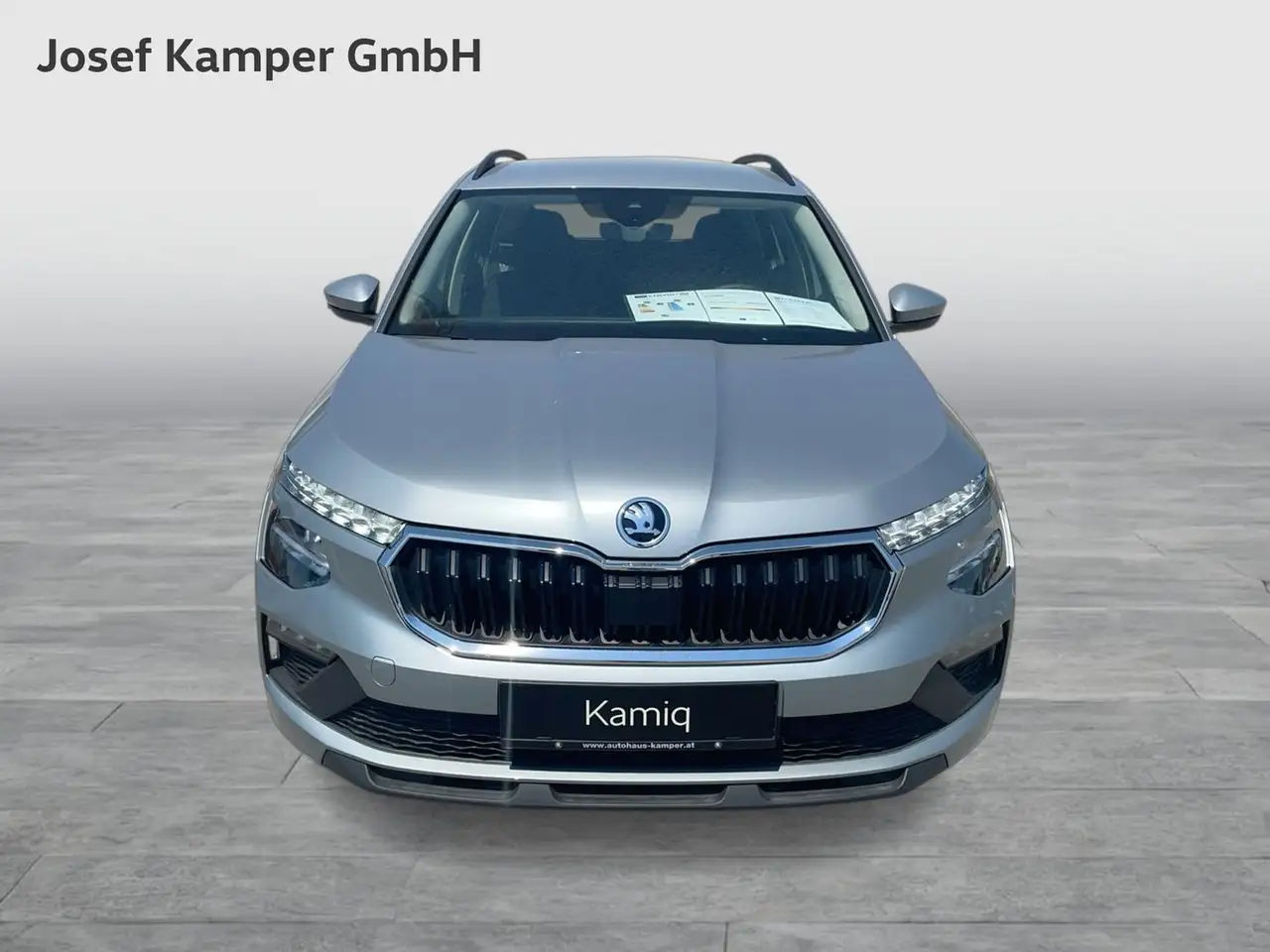 Skoda Kamiq 8