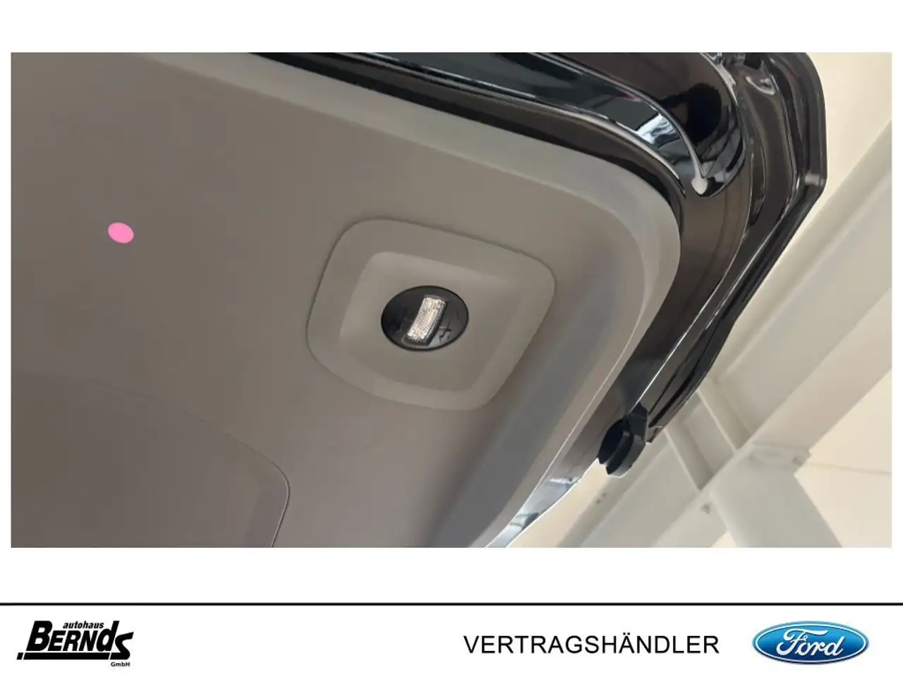 Ford Tourneo 10