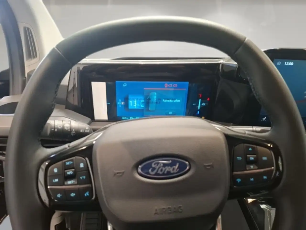 Ford Tourneo 9