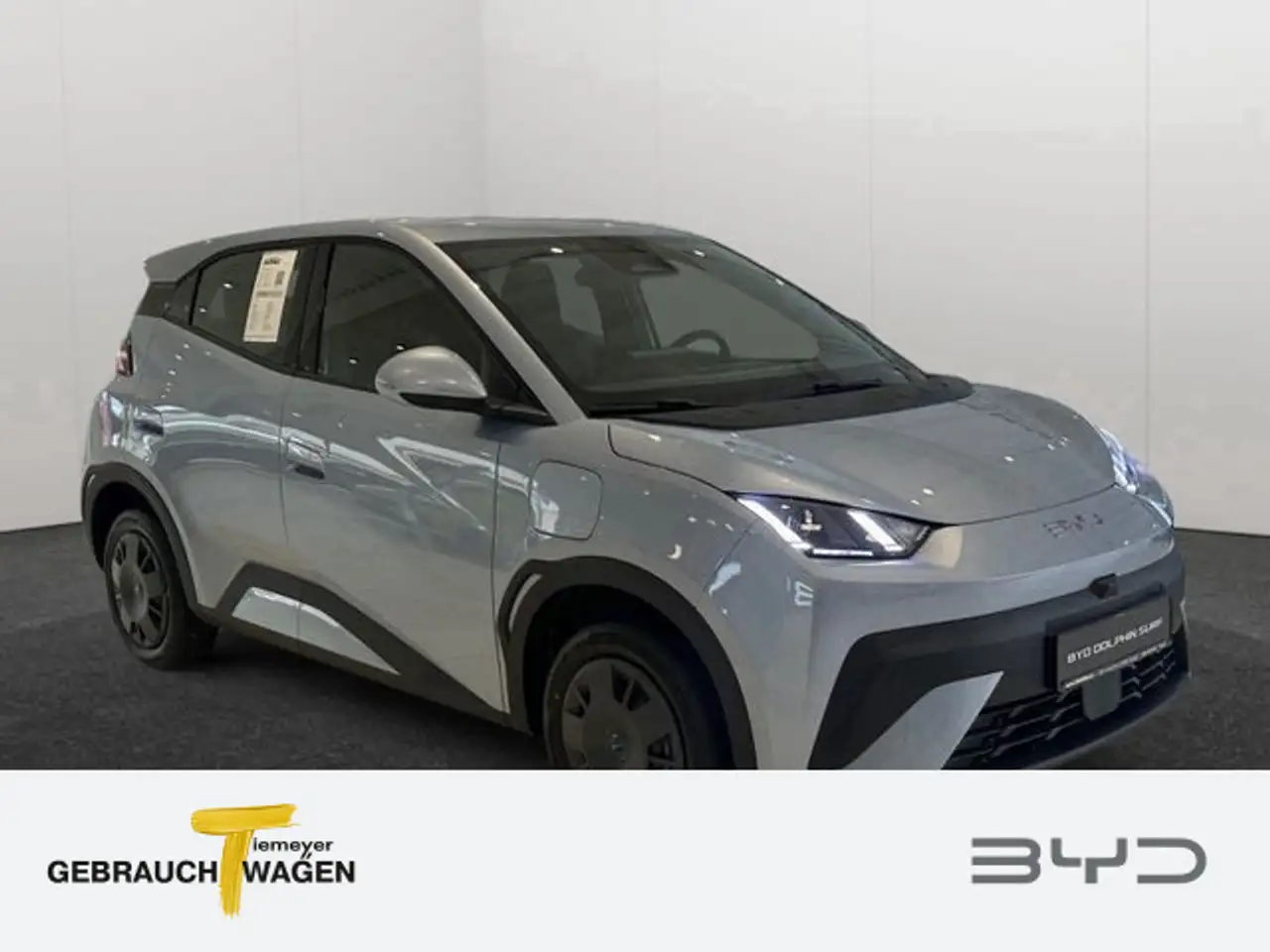BYD Dolphin 2