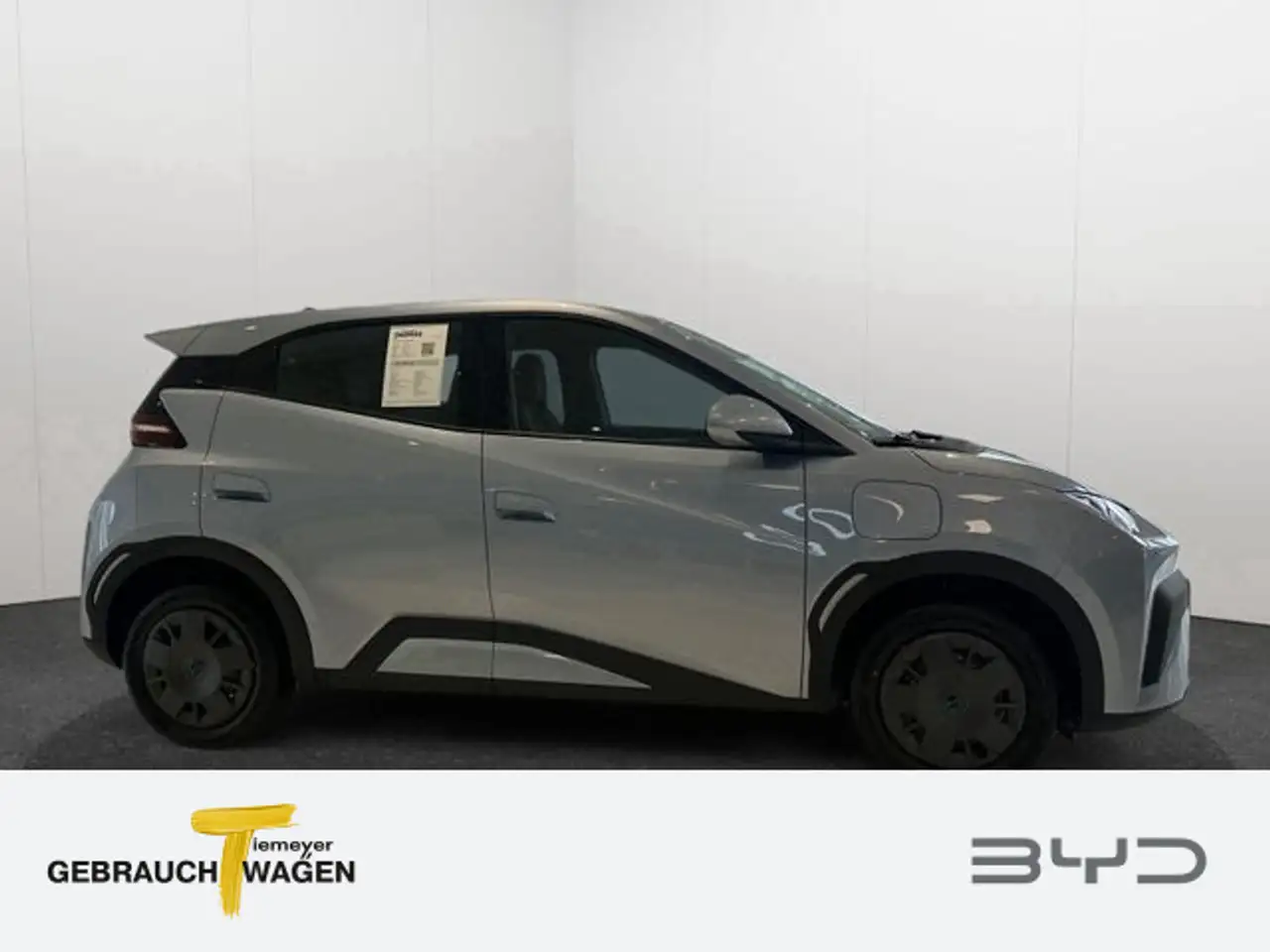 BYD Dolphin 3
