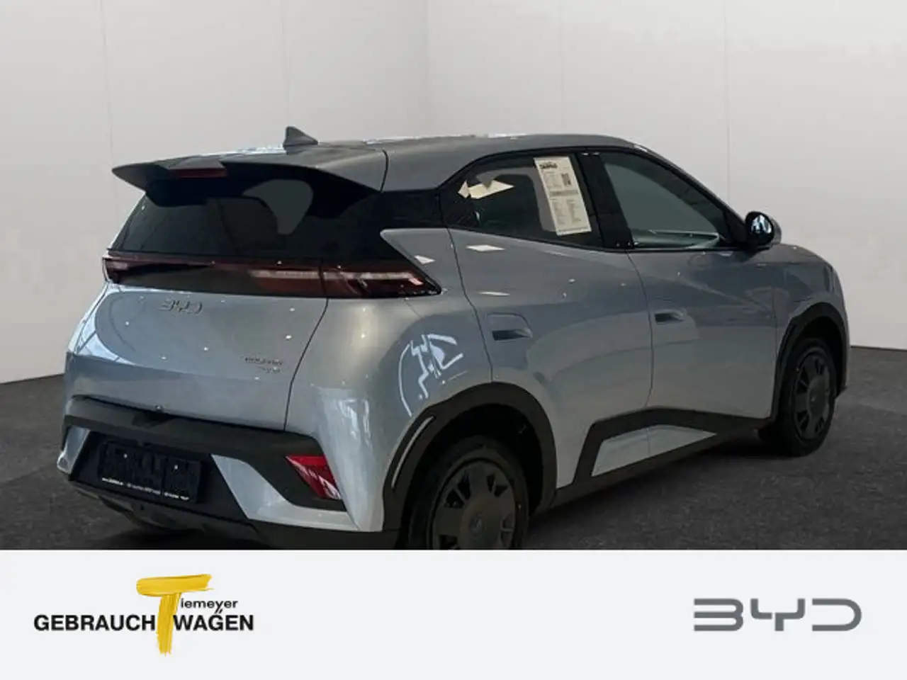 BYD Dolphin 4