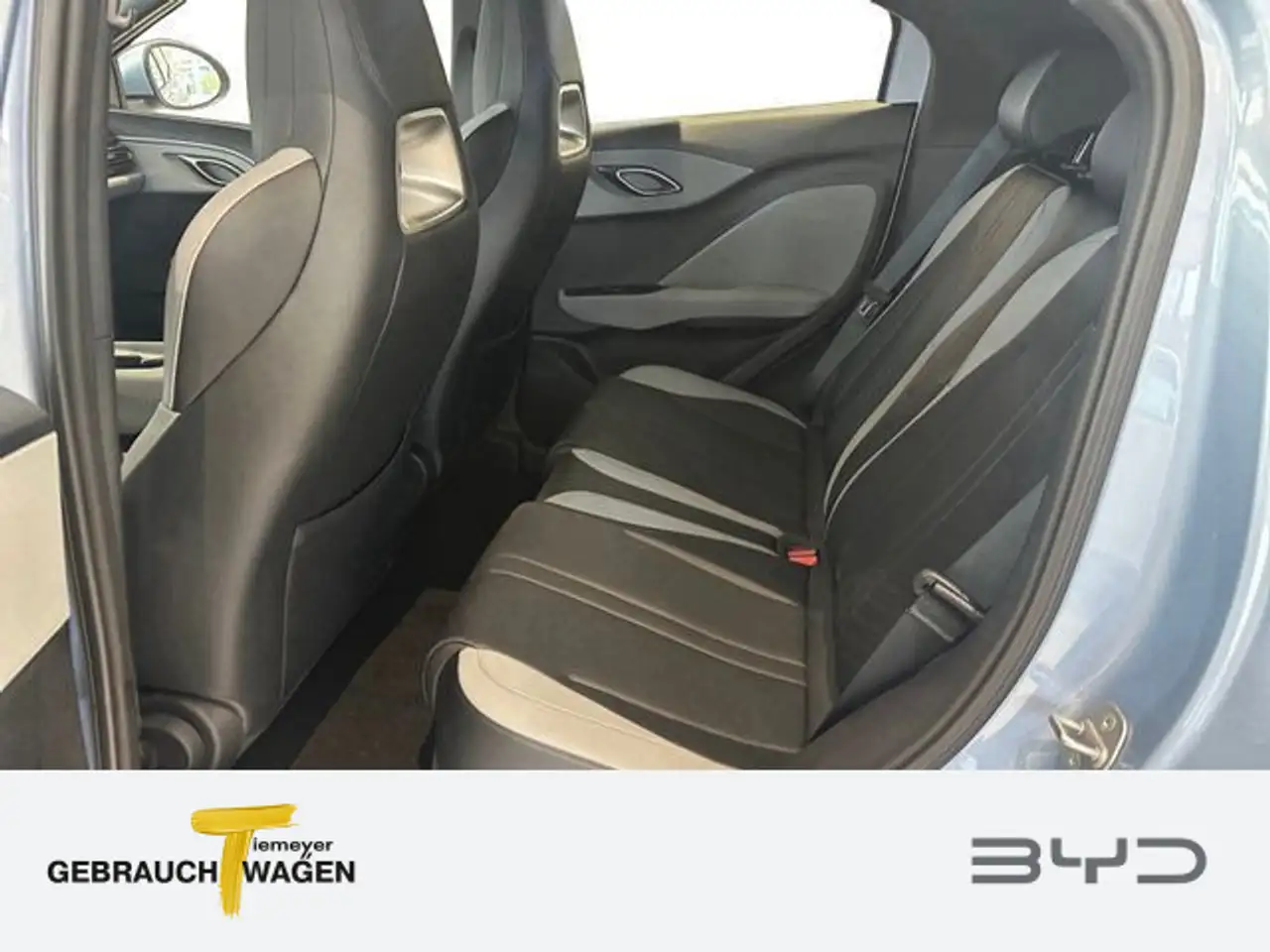 BYD Dolphin 10
