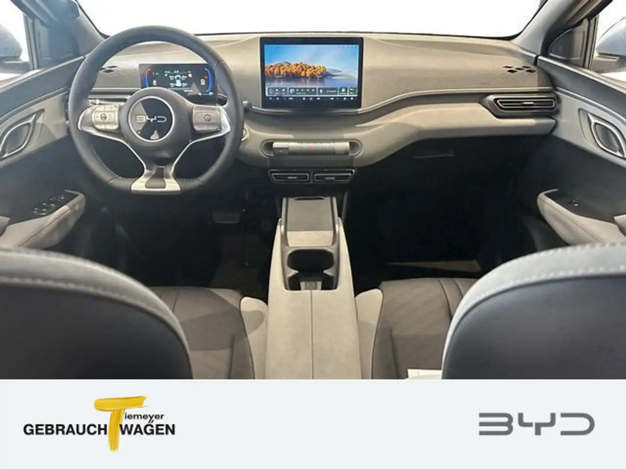 BYD Dolphin 11
