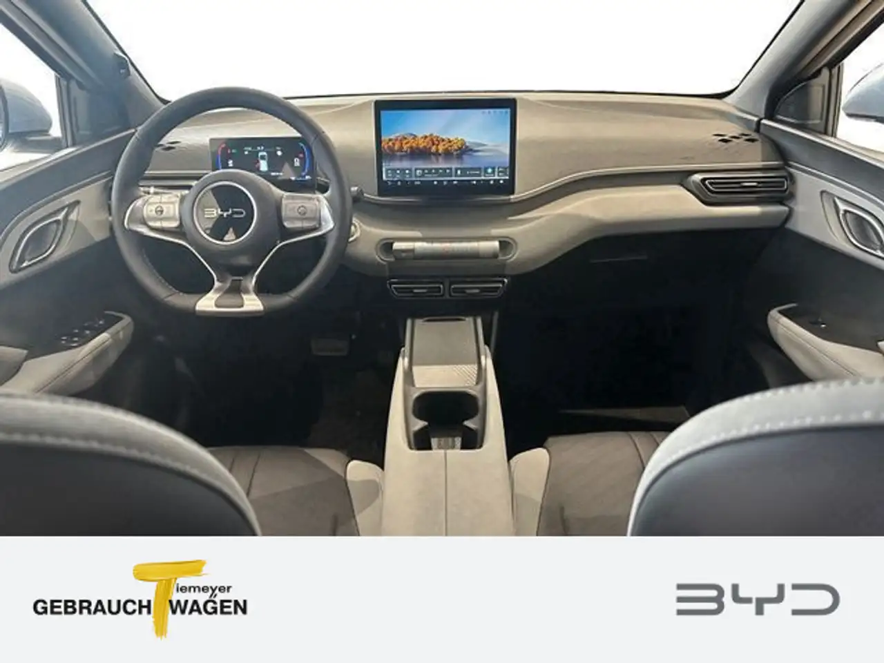 BYD Dolphin 12