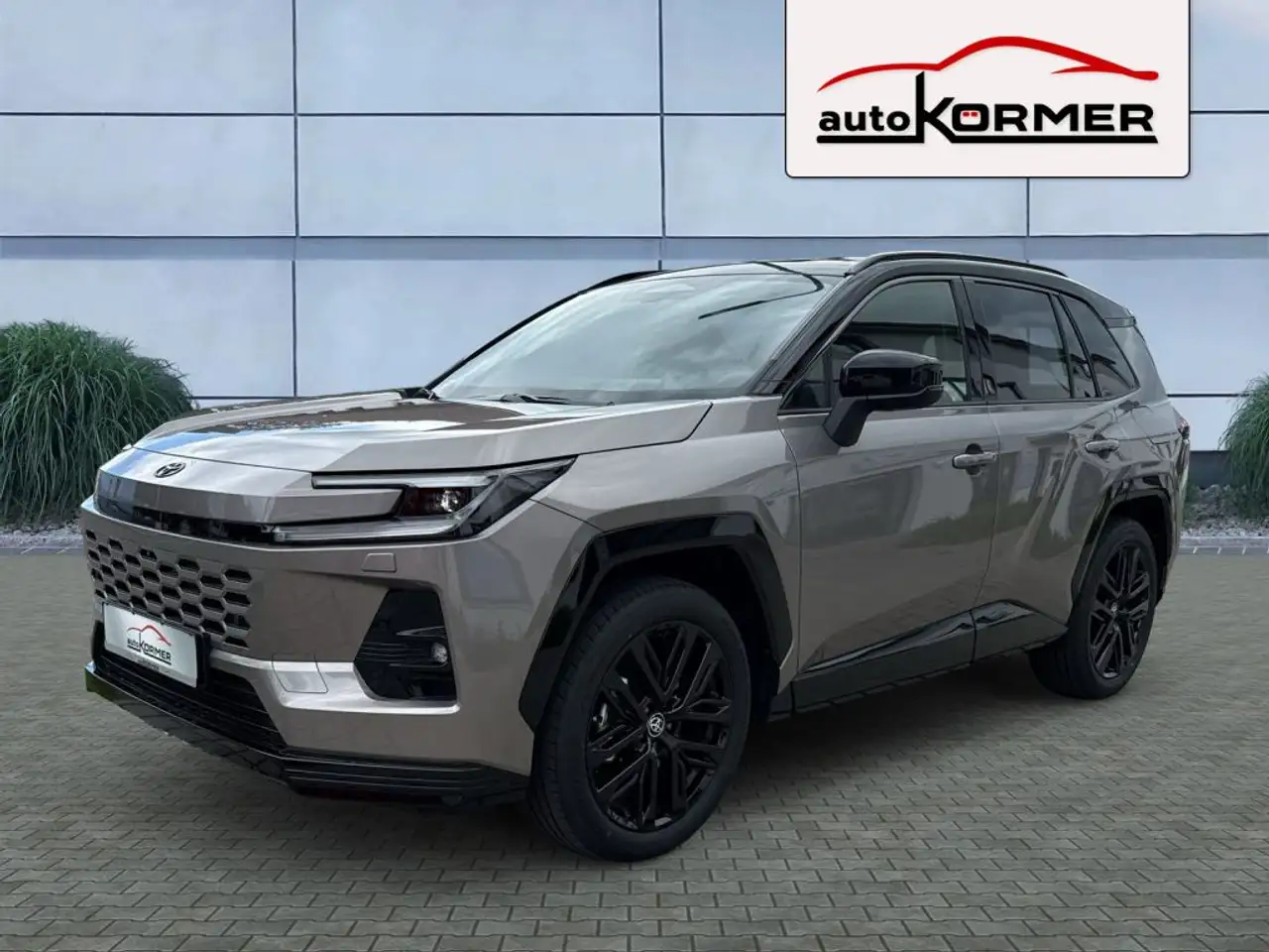 Toyota RAV4 6