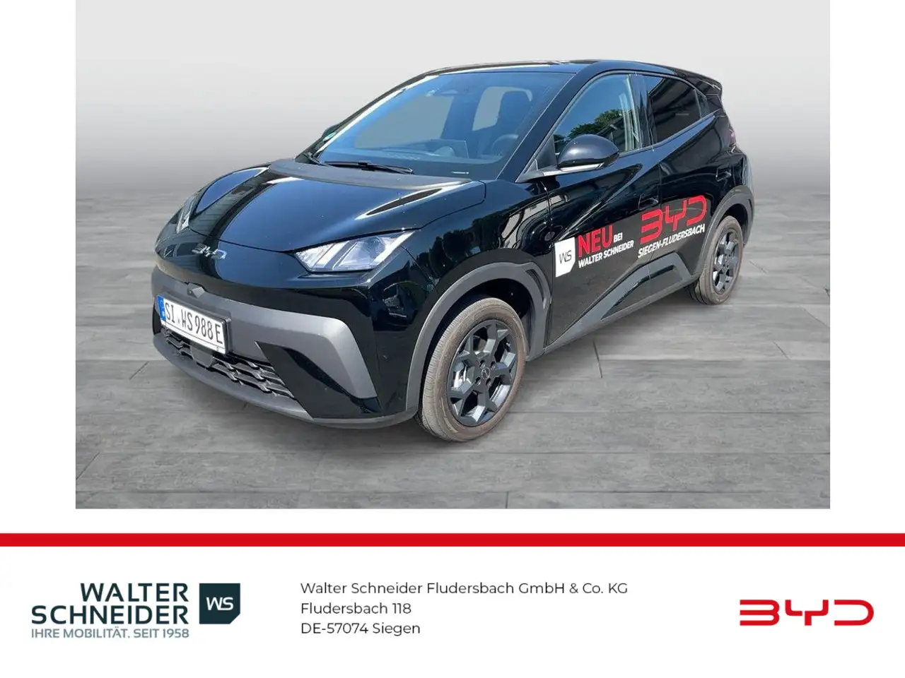 BYD Dolphin