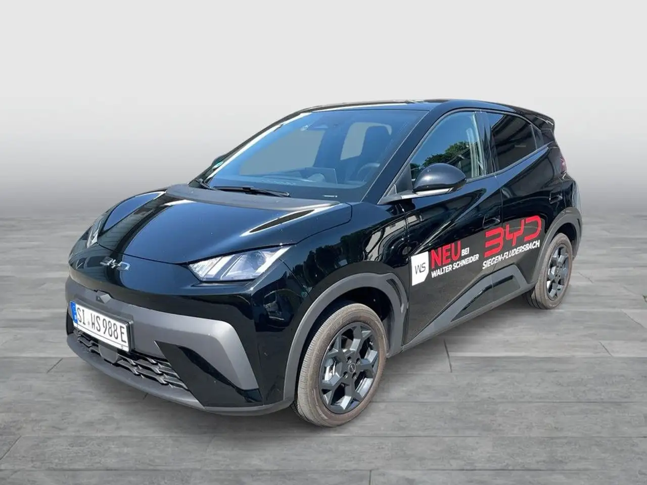 BYD Dolphin 2