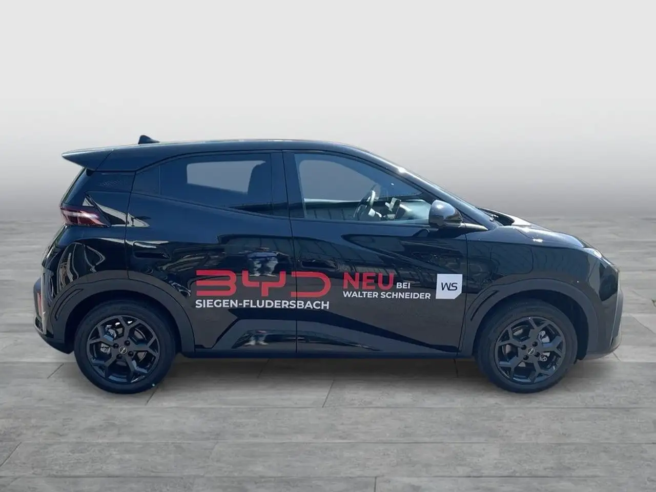 BYD Dolphin 8