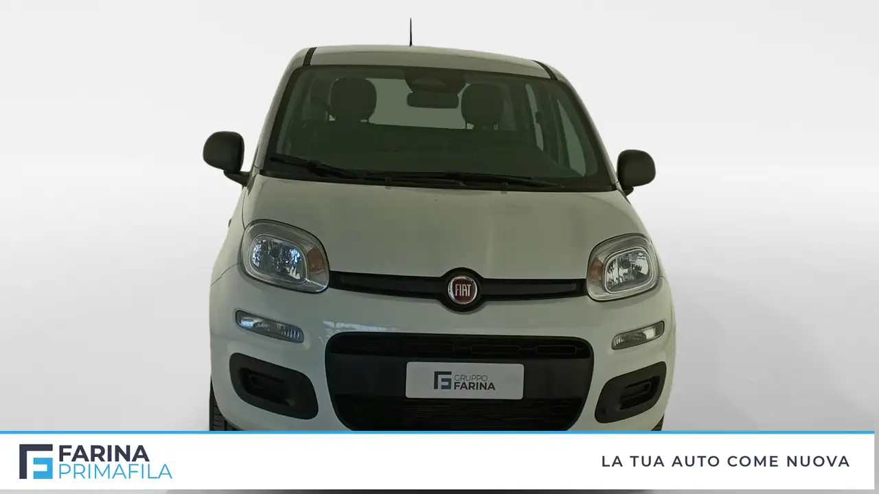 Fiat Panda 7