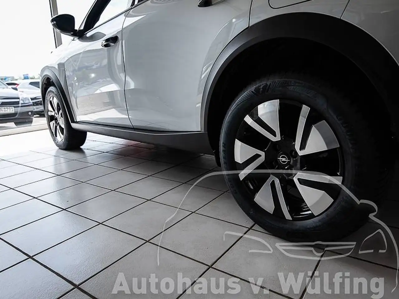 Opel Frontera 8