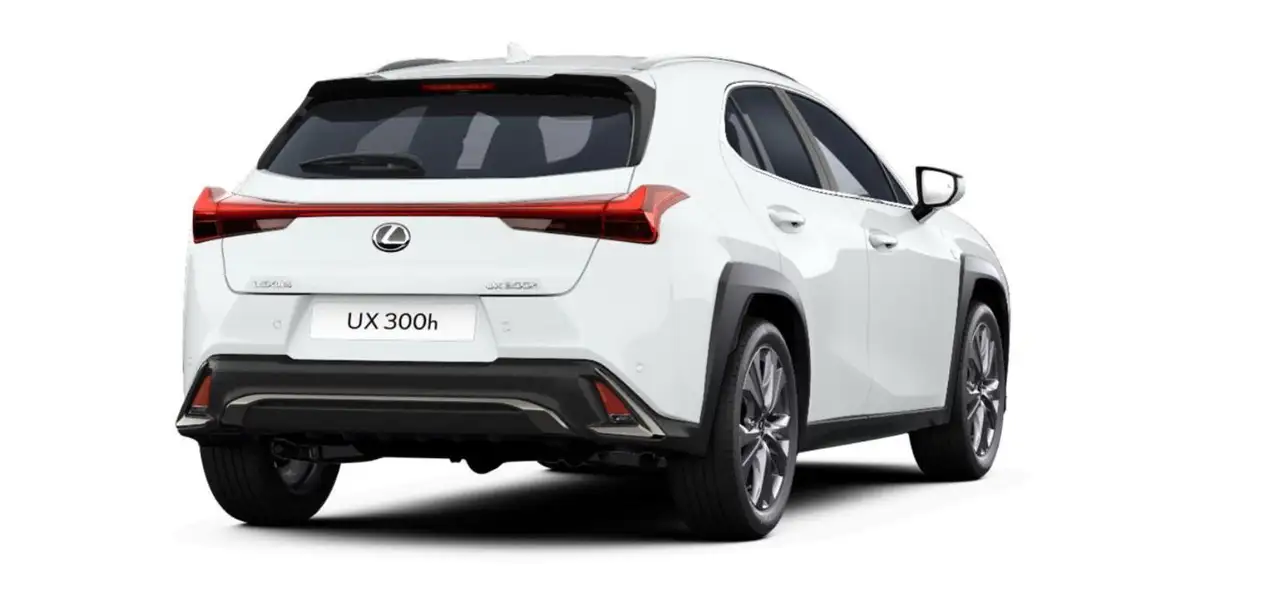 Lexus UX 6