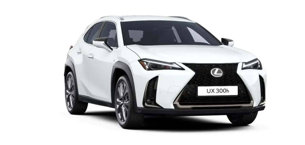 Lexus UX 8