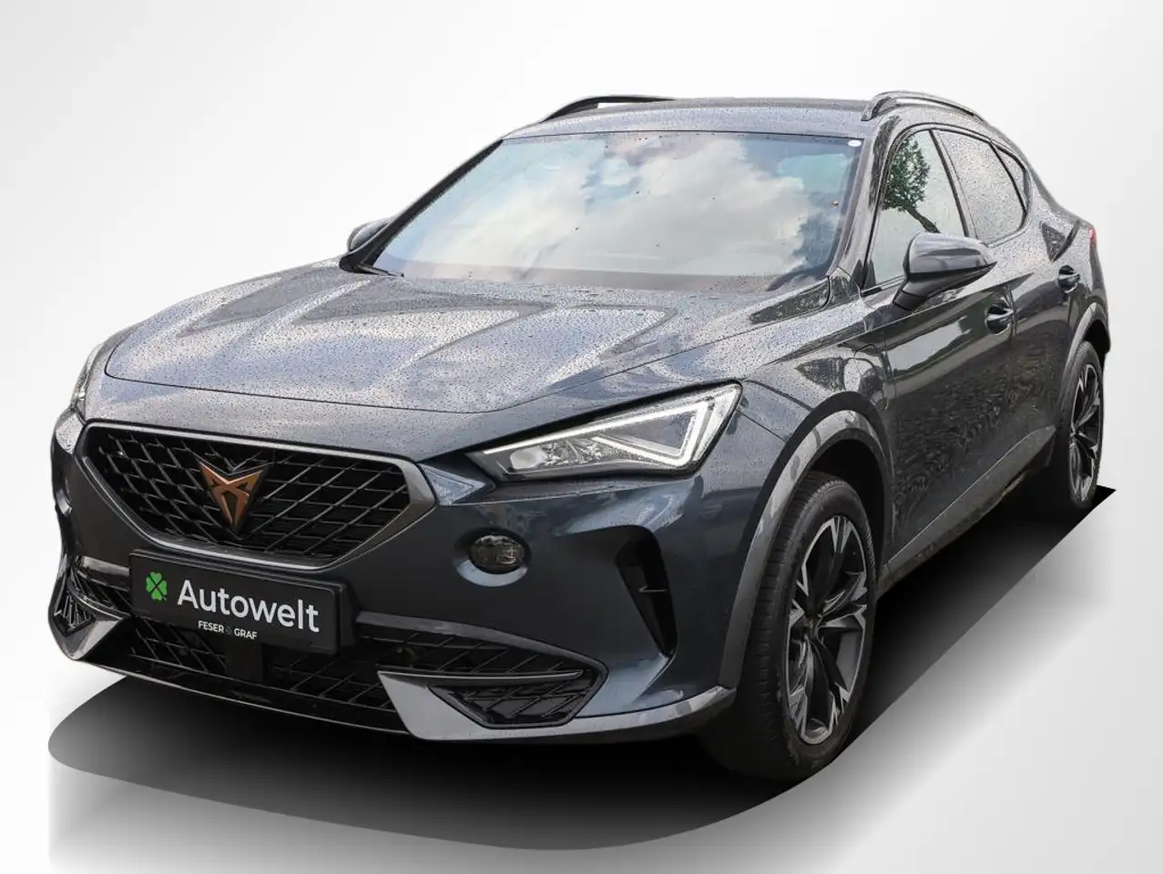 Cupra Formentor 12