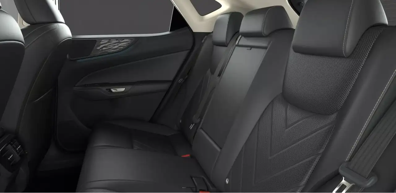 Lexus NX 12