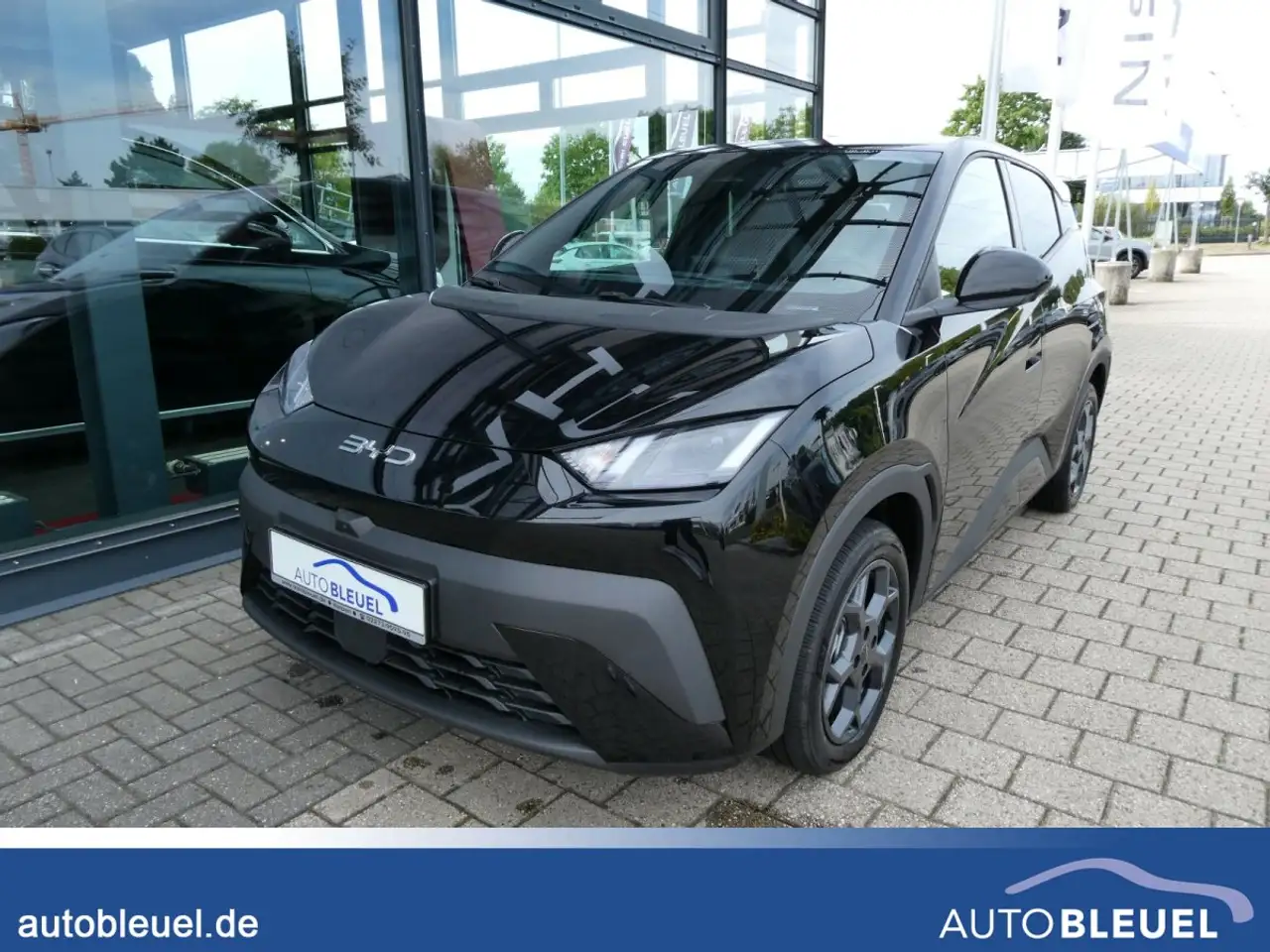BYD Dolphin