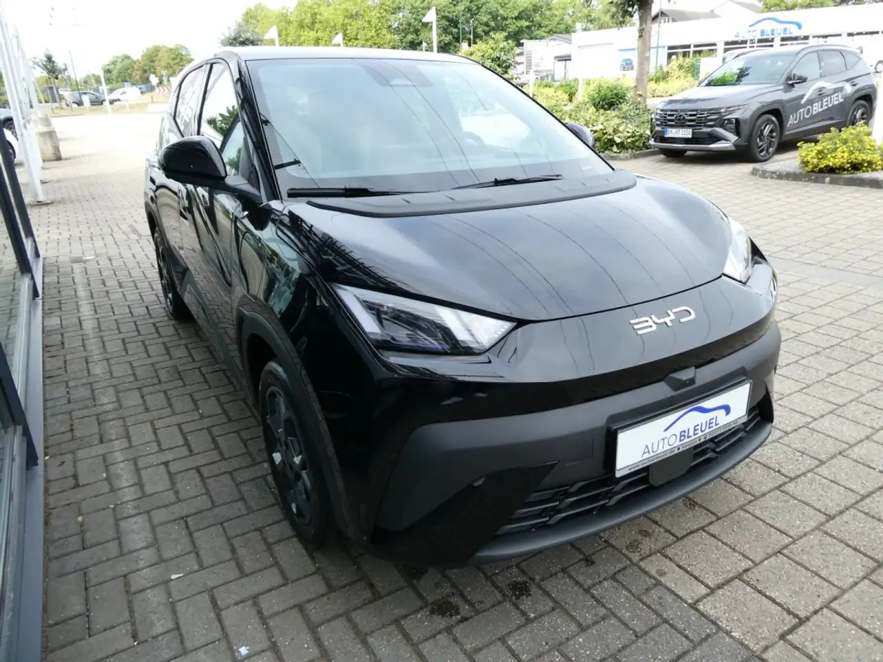 BYD Dolphin 5