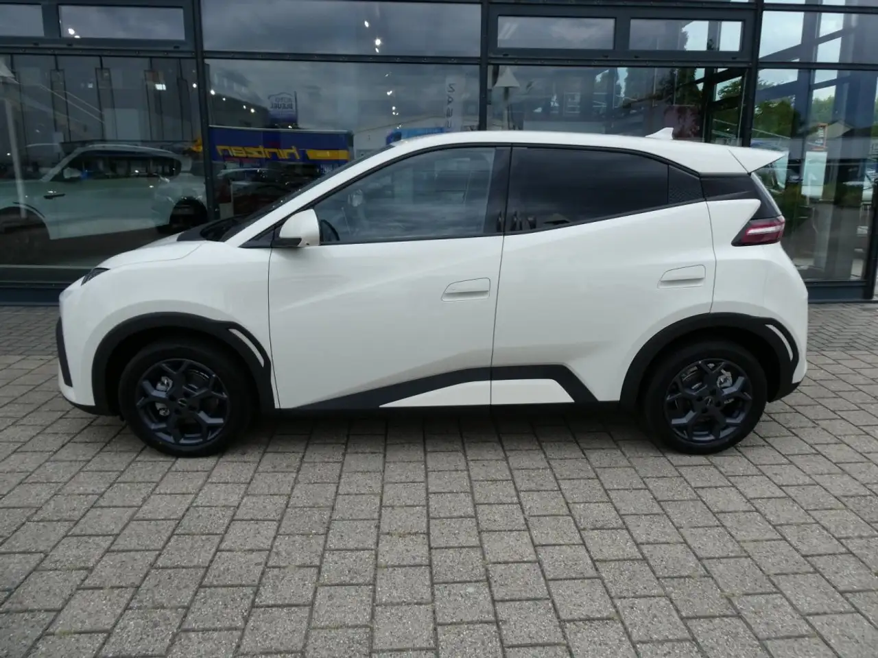 BYD Dolphin 2