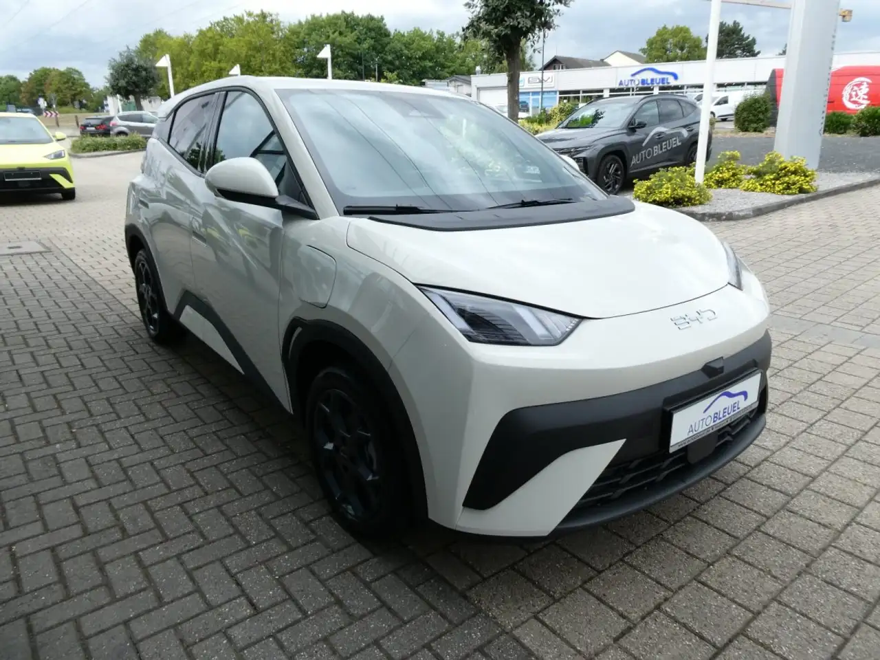 BYD Dolphin 5