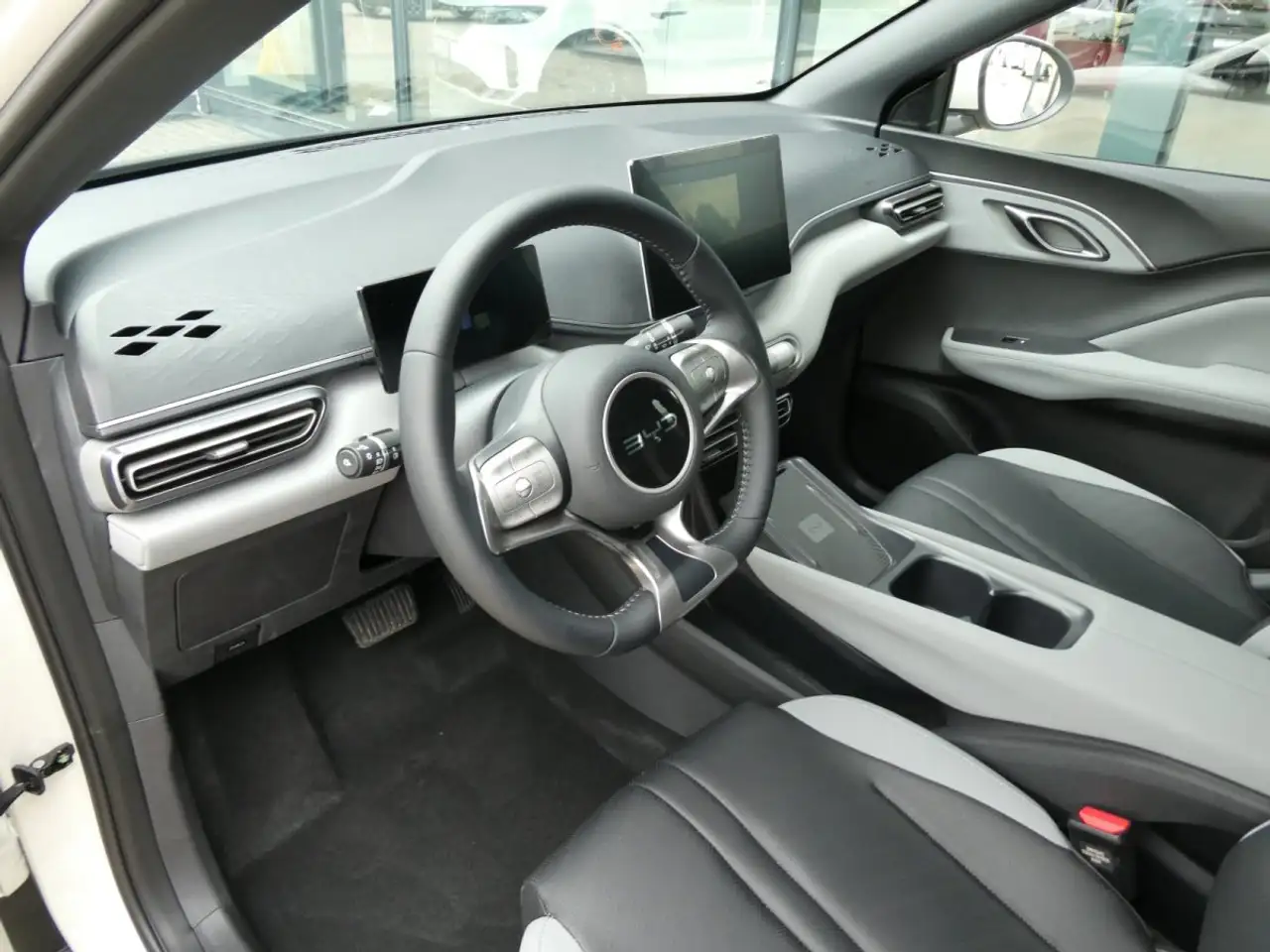 BYD Dolphin 8