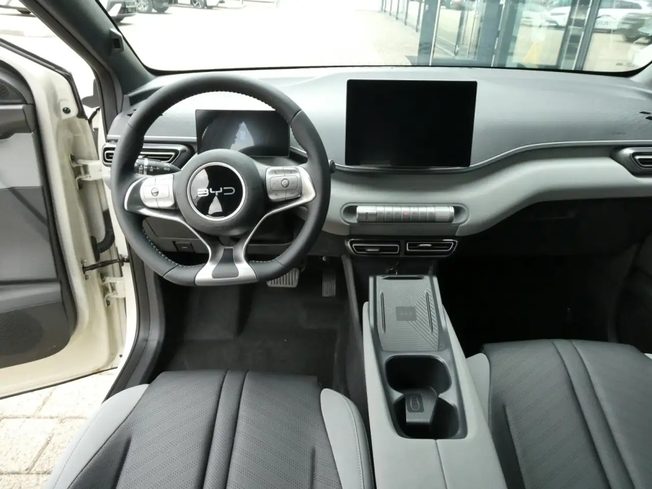 BYD Dolphin 12