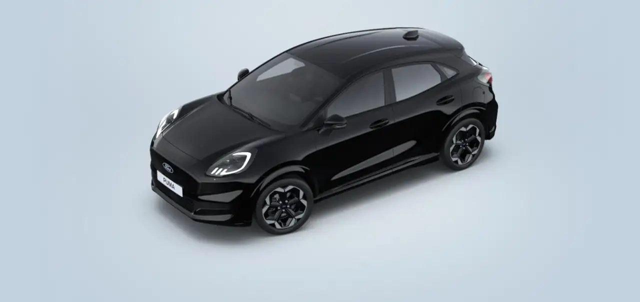 Ford Puma 12