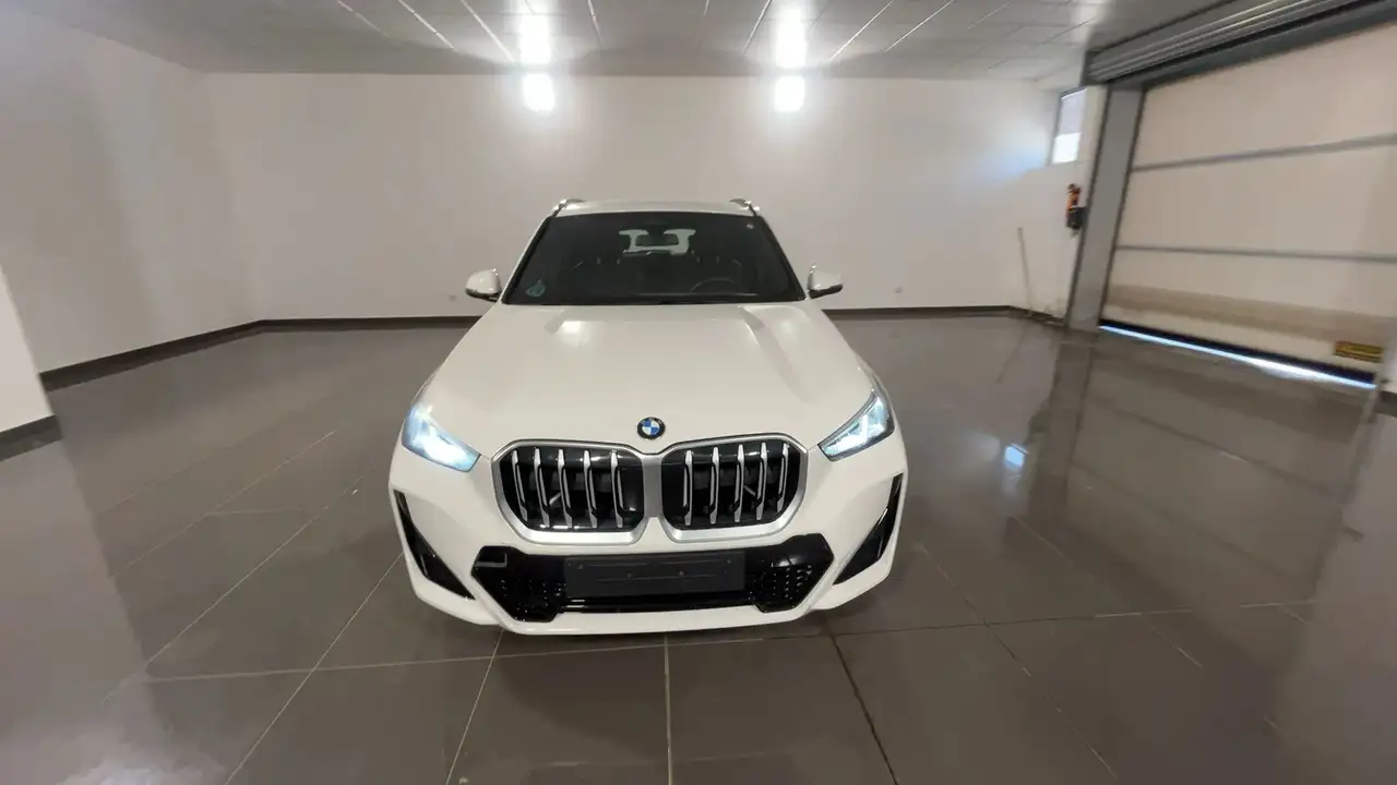 BMW X1 2