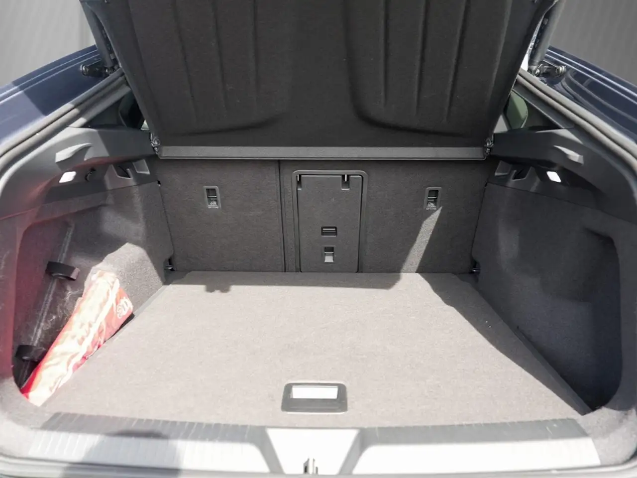 Cupra Tavascan 9