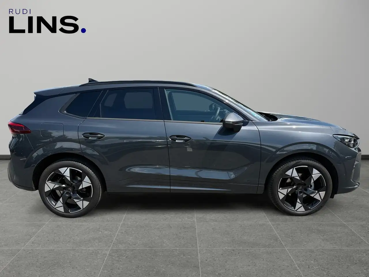 Cupra Terramar 6