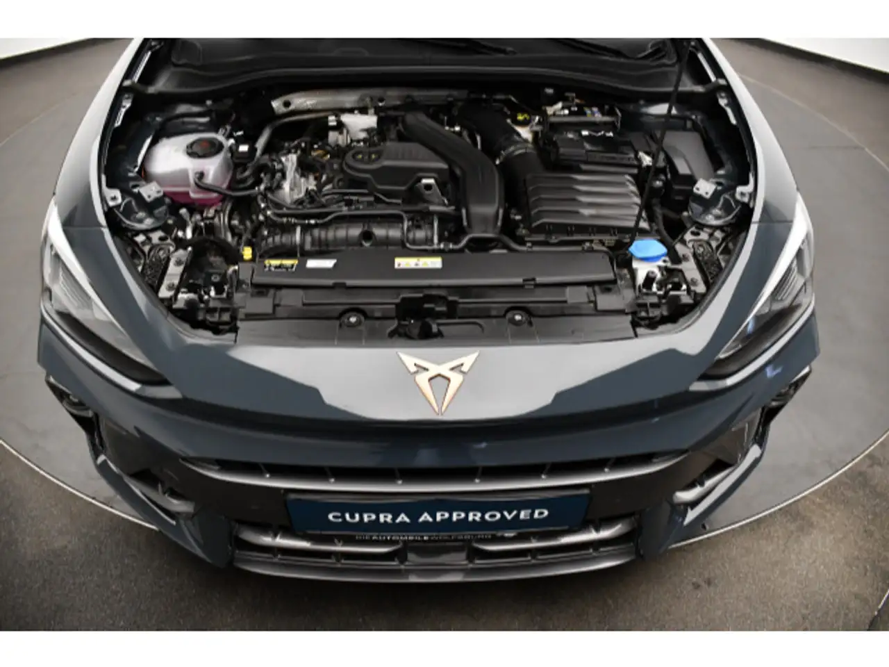 Cupra Leon 12