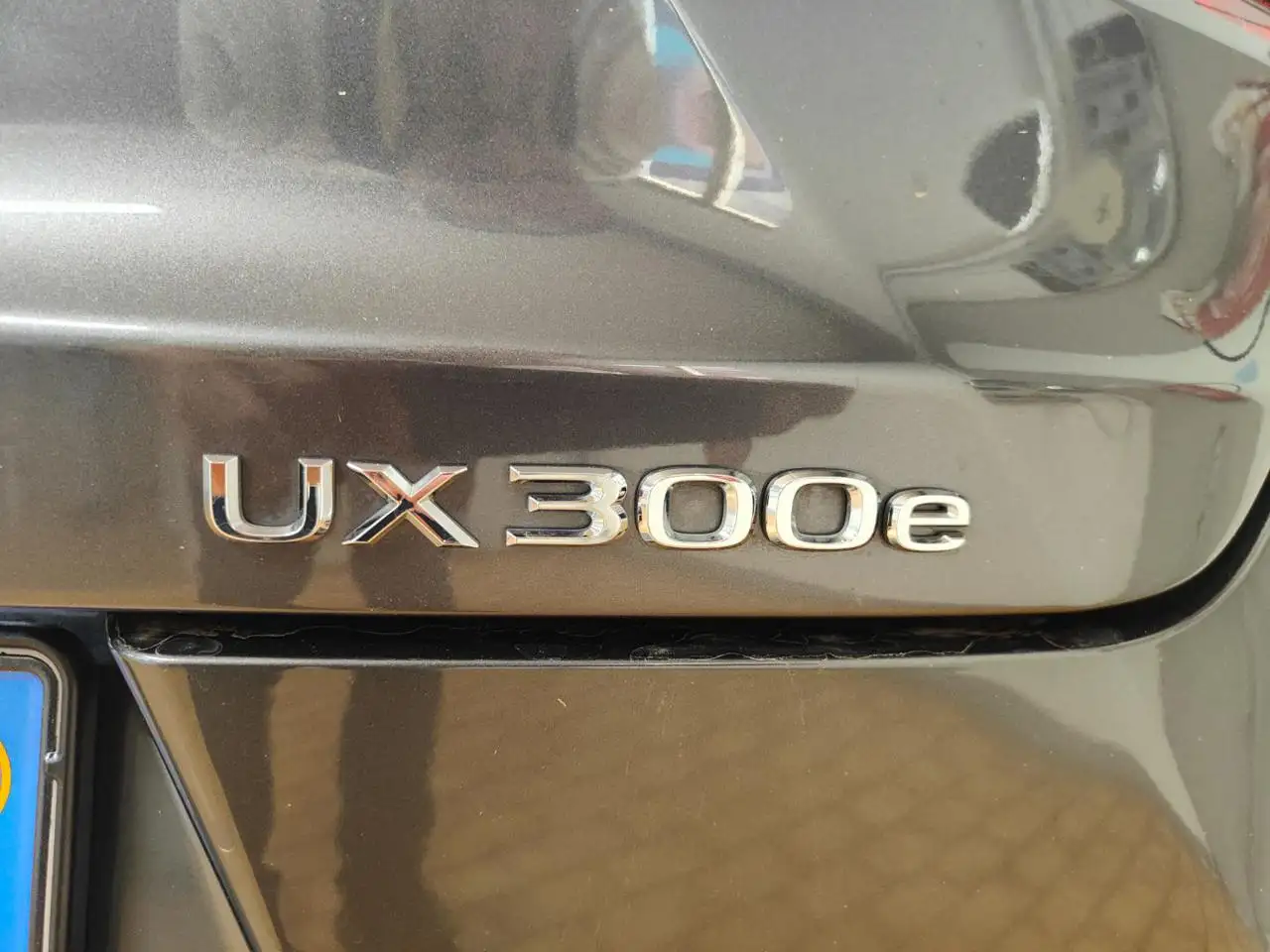 Lexus UX 11