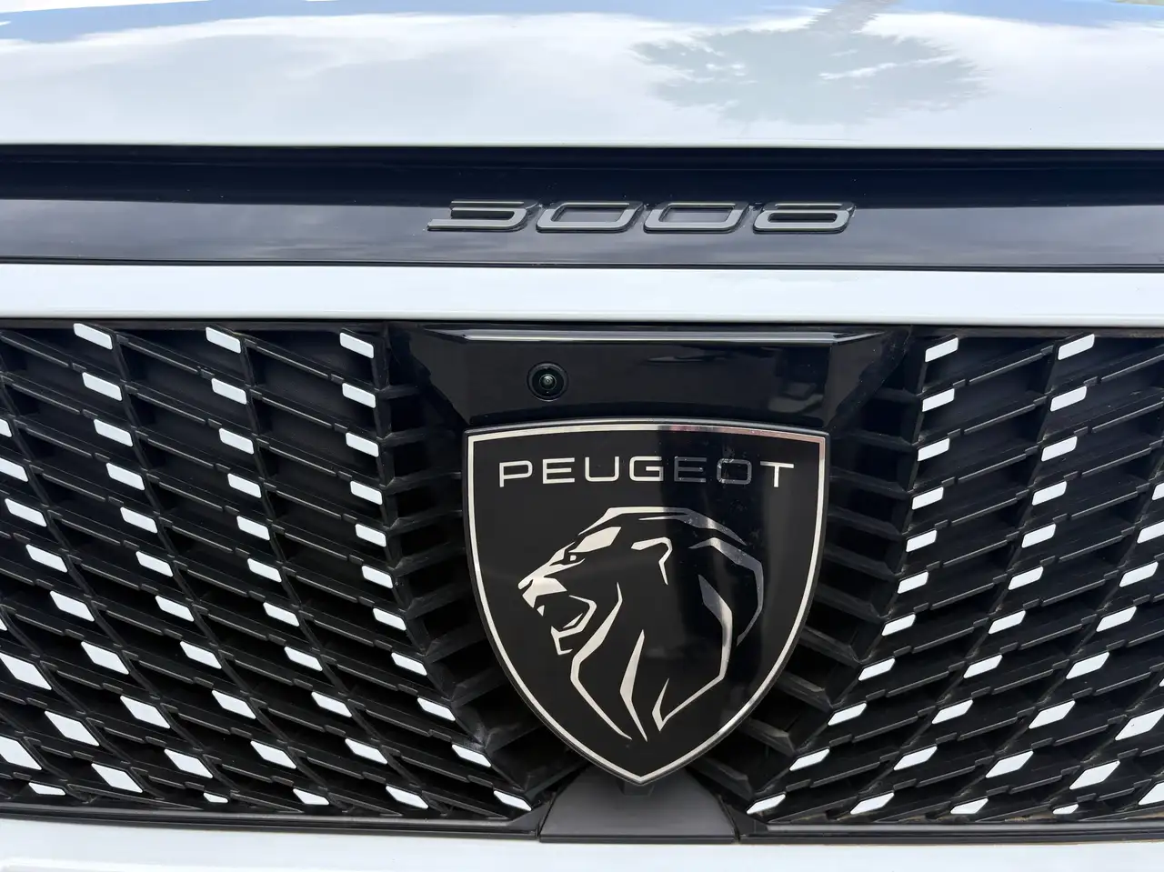 Peugeot 3008 4