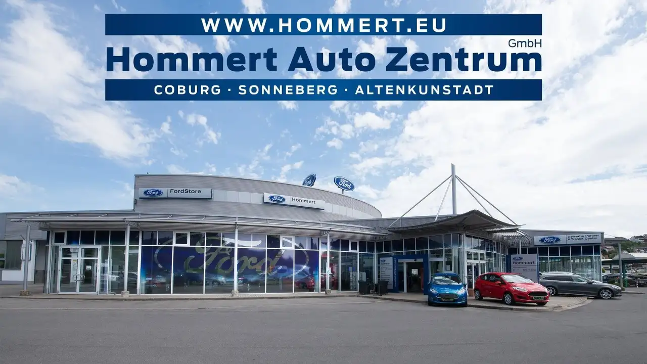 Ford Transit 13