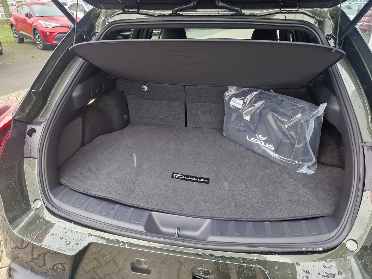 Lexus UX 9