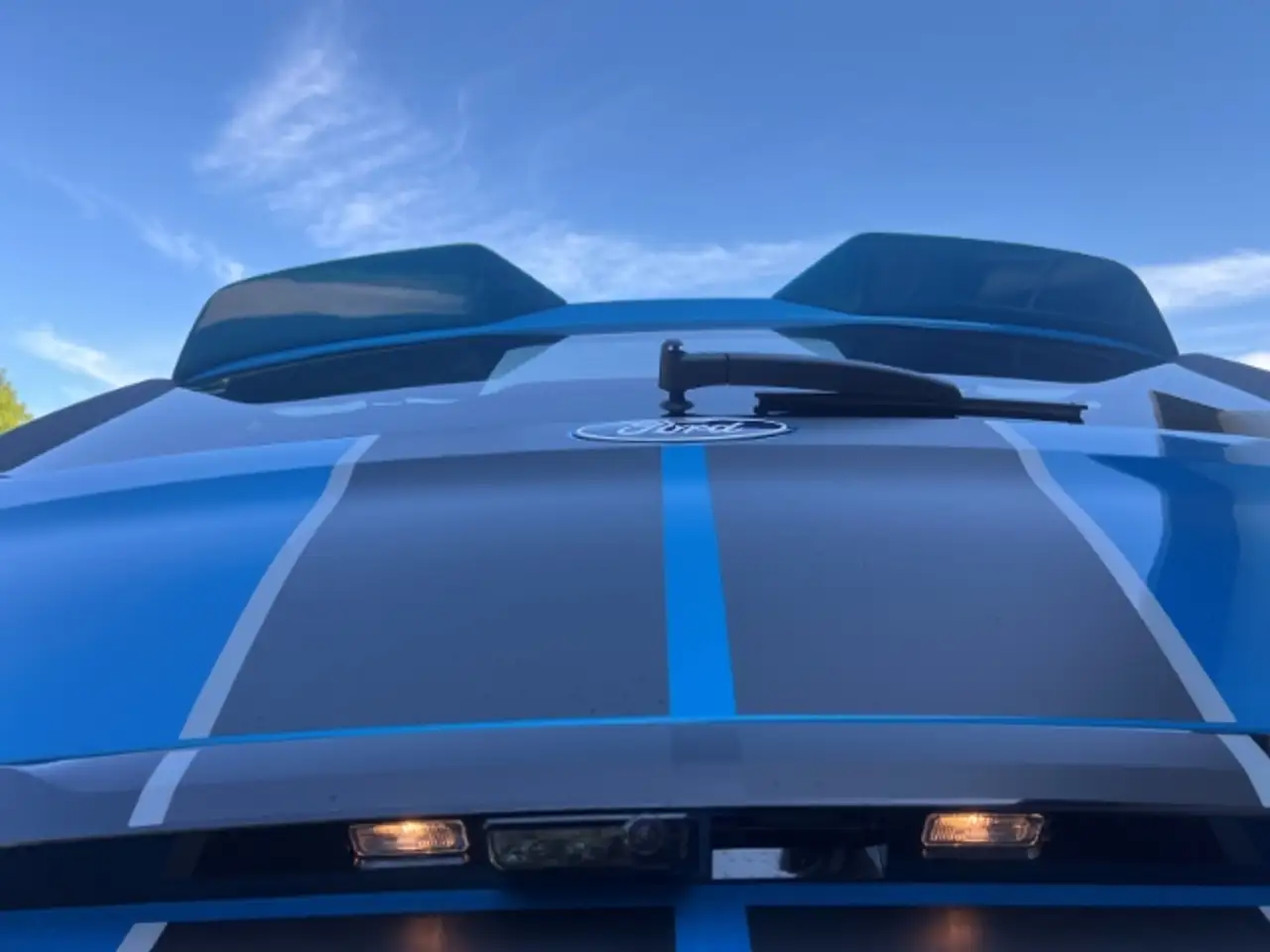 Ford Tourneo 9