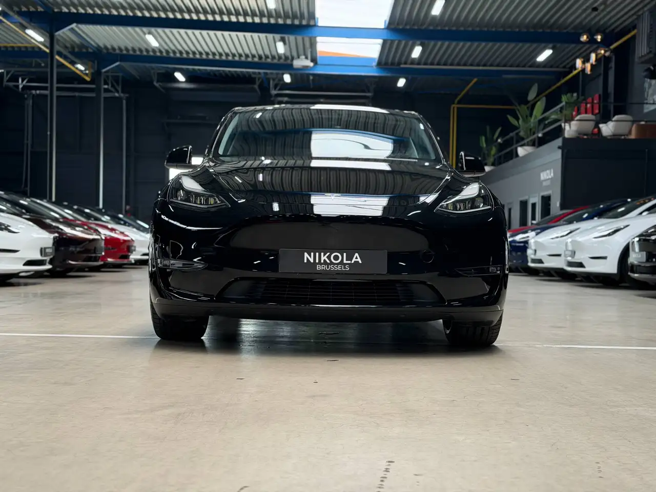 Tesla Model 6